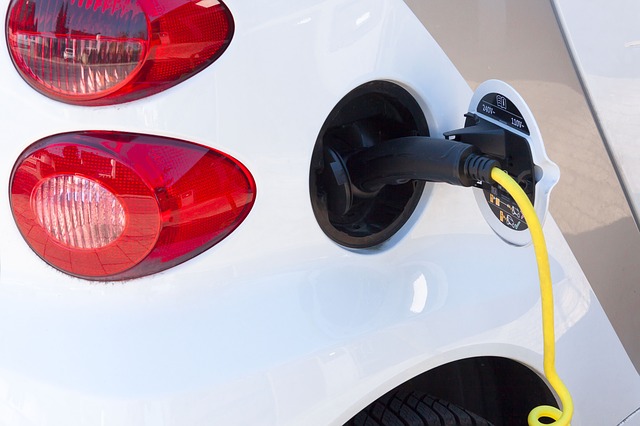 Why do People not Buy Electric Cars?